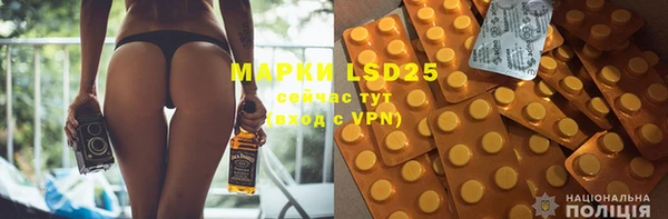 индика Баксан