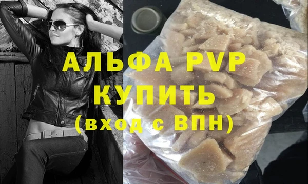 индика Баксан
