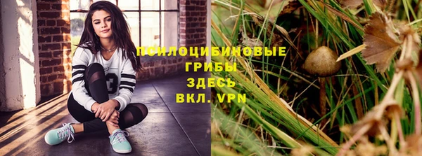 индика Баксан