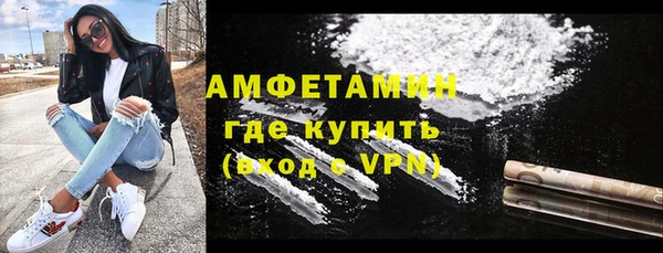 индика Баксан