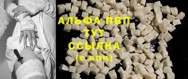 индика Баксан
