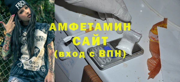 индика Баксан