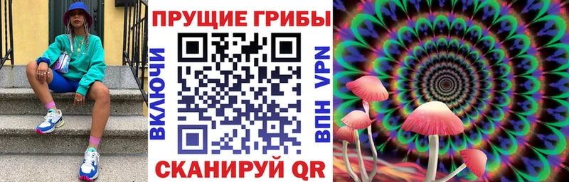 где купить   Озёры  Галлюциногенные грибы мицелий 
